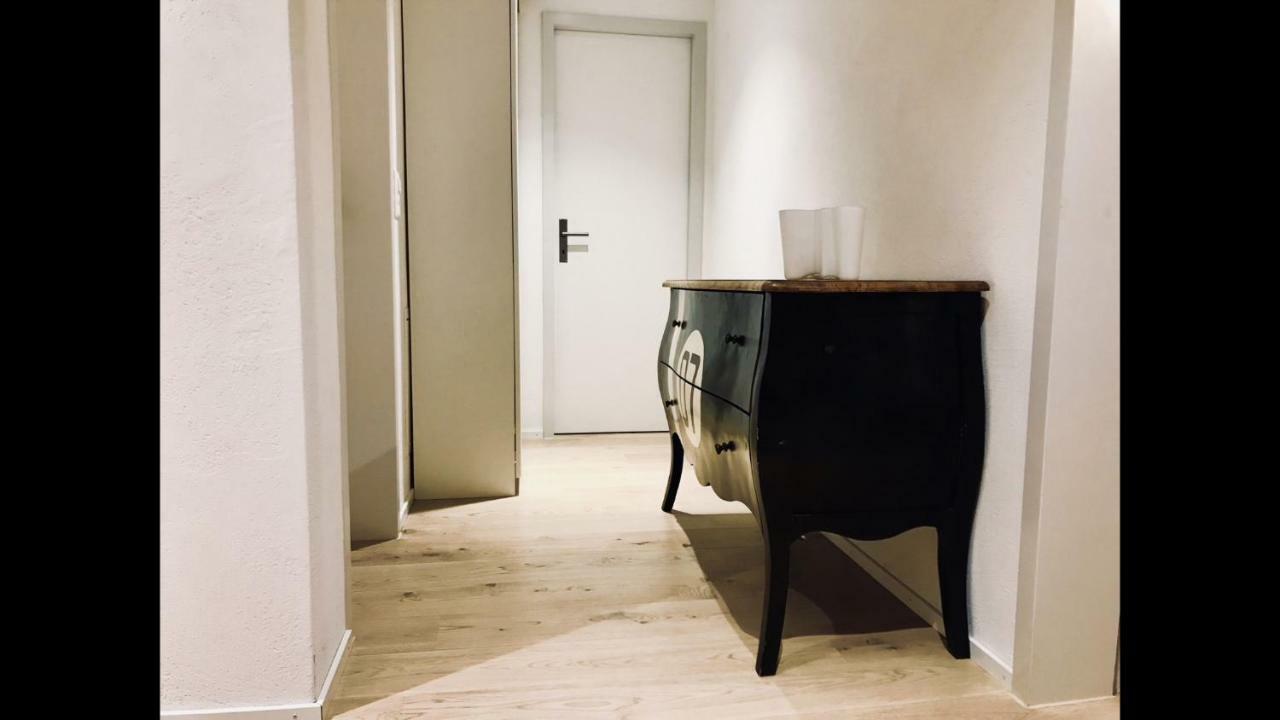 ציריך Luxury Penthouse Apartment מראה חיצוני תמונה
