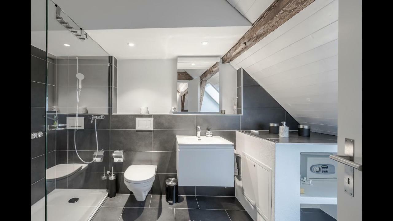 ציריך Luxury Penthouse Apartment מראה חיצוני תמונה