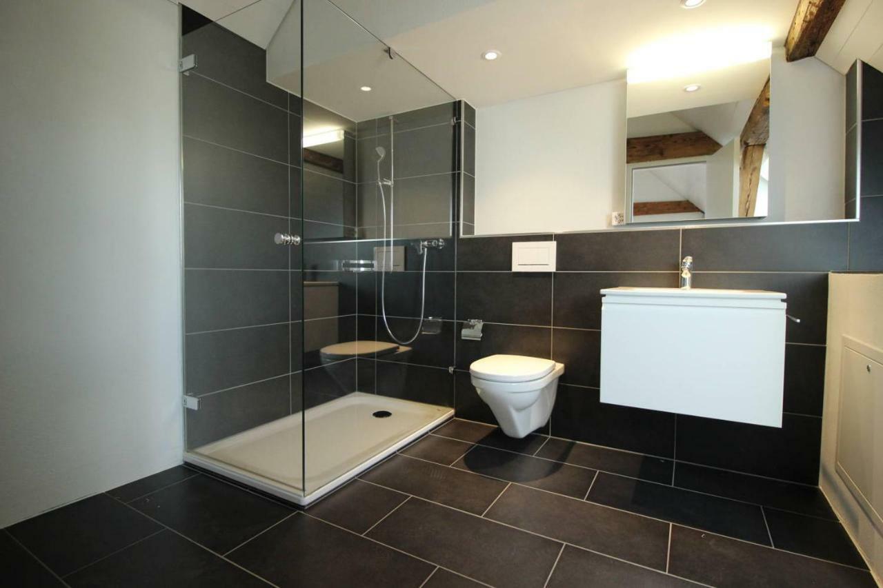 ציריך Luxury Penthouse Apartment מראה חיצוני תמונה