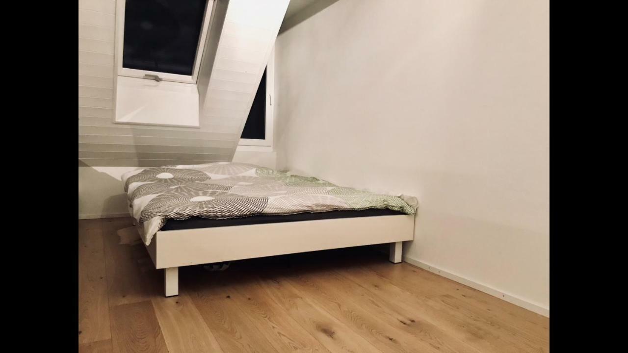 ציריך Luxury Penthouse Apartment מראה חיצוני תמונה