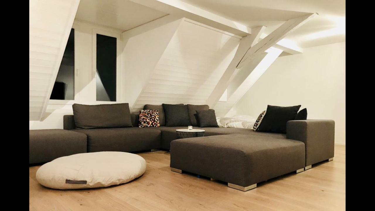 ציריך Luxury Penthouse Apartment מראה חיצוני תמונה