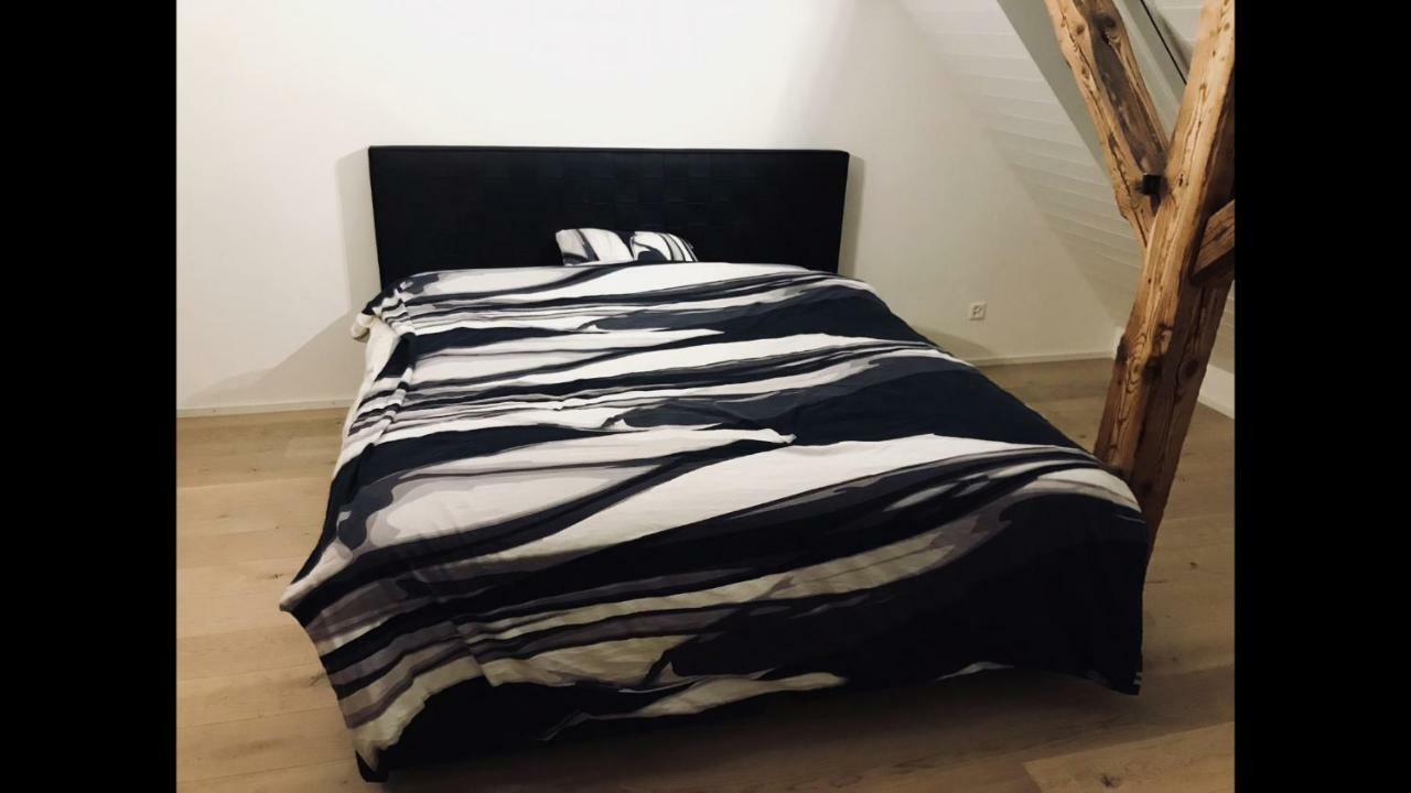 ציריך Luxury Penthouse Apartment מראה חיצוני תמונה
