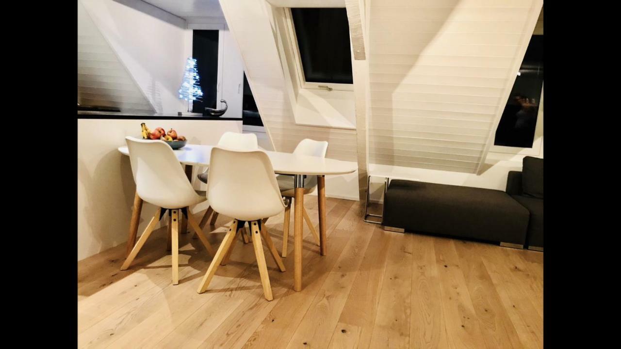 ציריך Luxury Penthouse Apartment מראה חיצוני תמונה